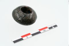 Foto von Bronzeringperle (NHMW-PRAE-025144)